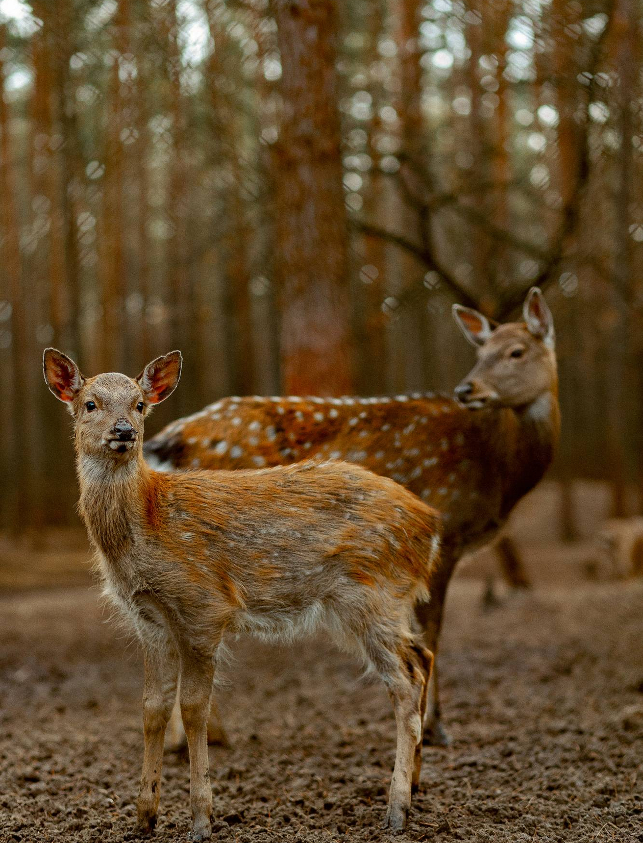 Орловская область - экскурсии и туры