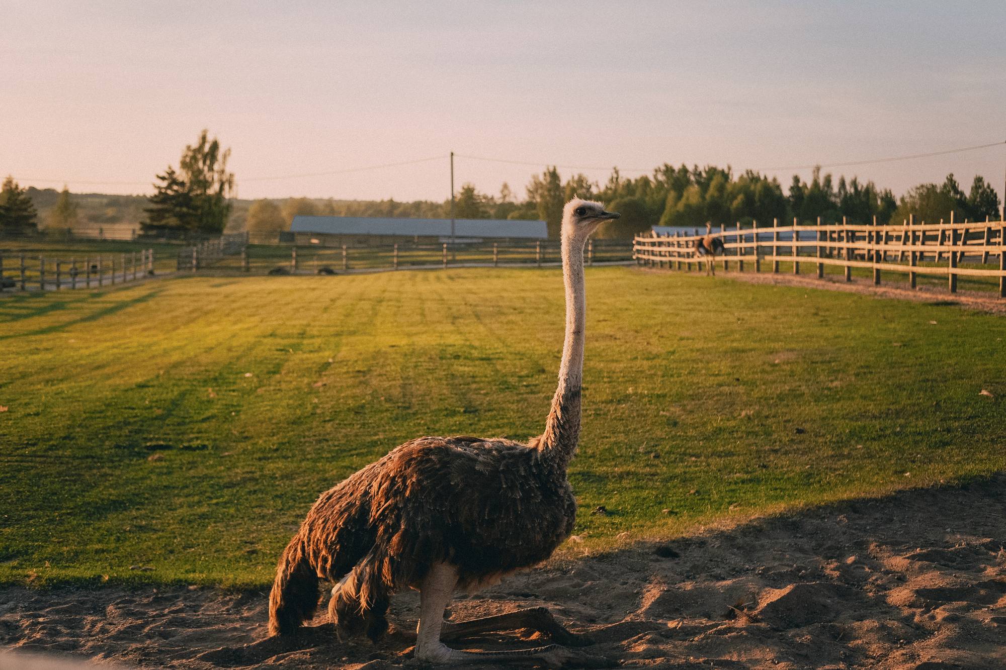 Псковская область - экскурсии и туры
