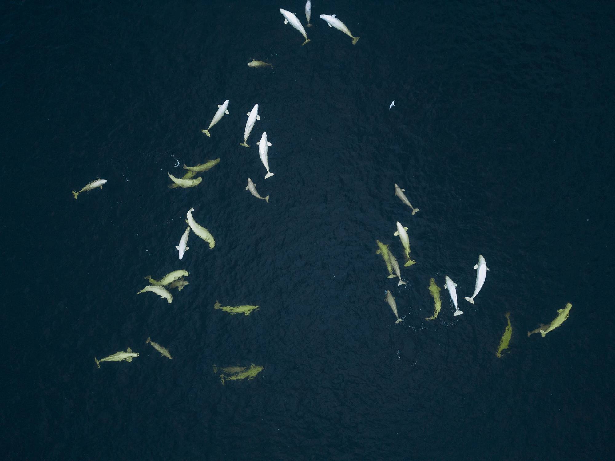 Республика Карелия - экскурсии и туры