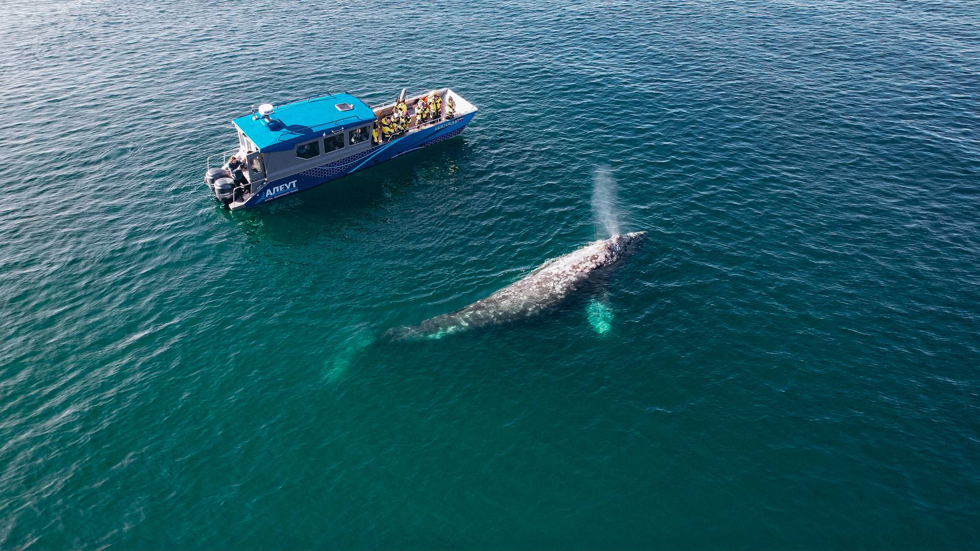 Чукотский автономный округ - экскурсии и туры