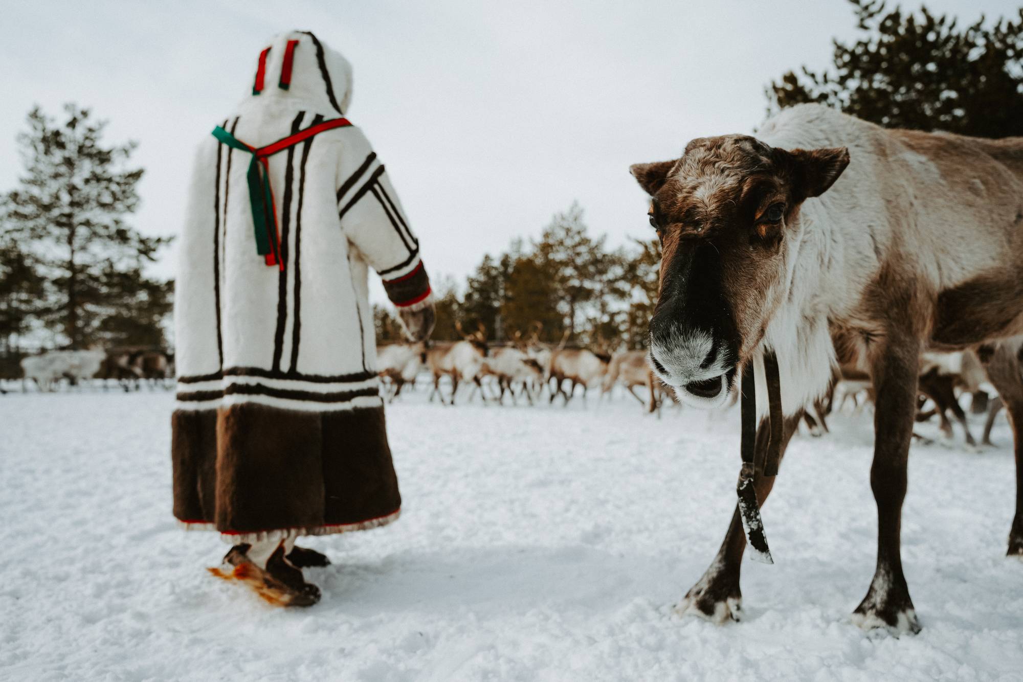 Ханты-Мансийский автономный округ — Югра - экскурсии и туры