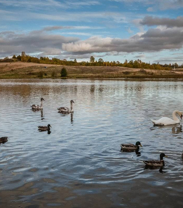 Обложка для места Городищенское озеро