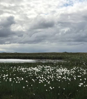 Обложка для места Ненецкий государственный природный заповедник