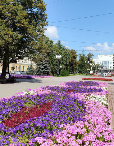 Сквер В.С. Петрова