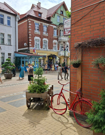 Курортный проспект