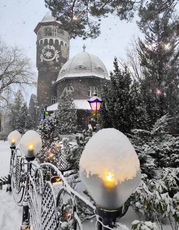 Светлогорск