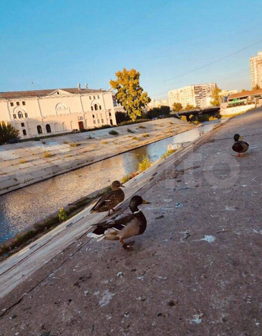 Площадь Маяковского