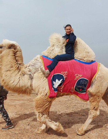 Верблюжий остров