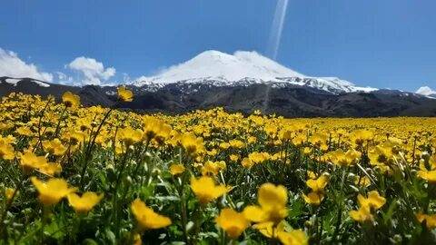 Поляна Эммануэля