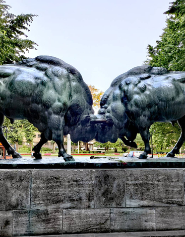 Скульптура "Борющиеся зубры"