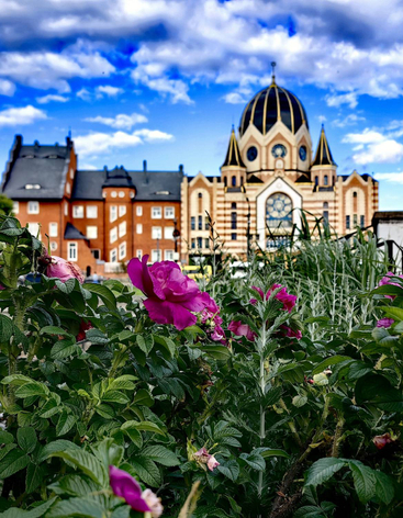 Новая Синагога