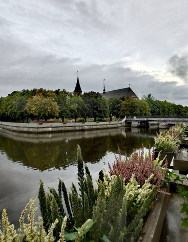 Остров Канта