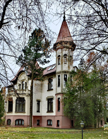 Район вилл Амалиенау