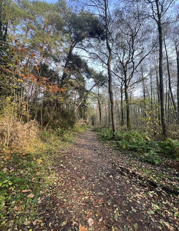 Высота Мюллера