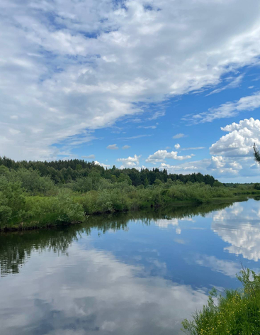 Река Медведица