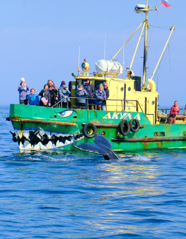 Морская прогулка