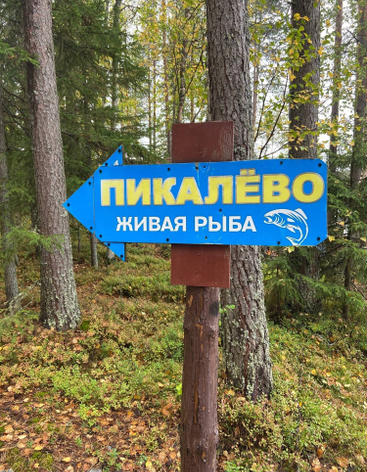 Озеро Пикалёво