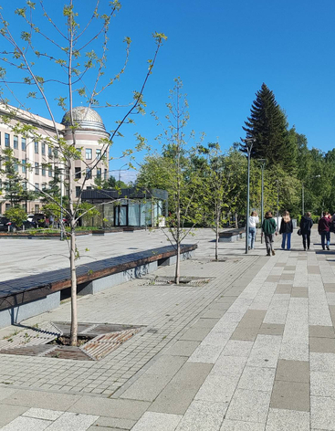 Вид на бульвар