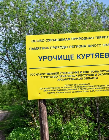 Поворот на Куртяево
