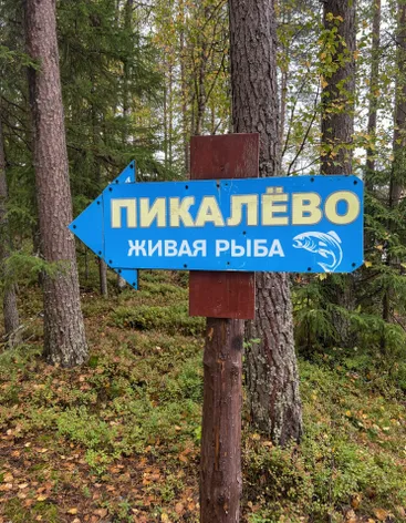 Озеро Пикалёво