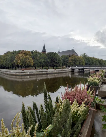 Остров Канта