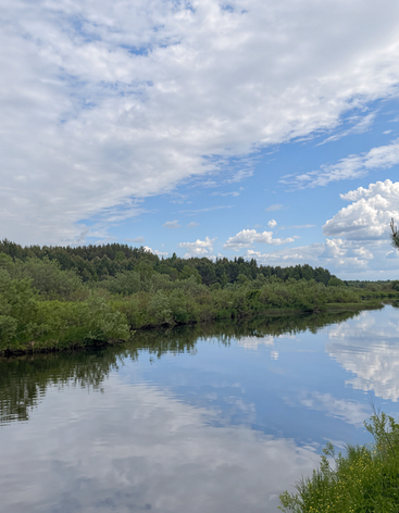 Река Медведица