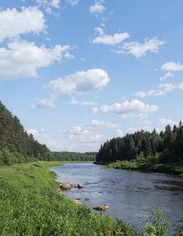 Лес
