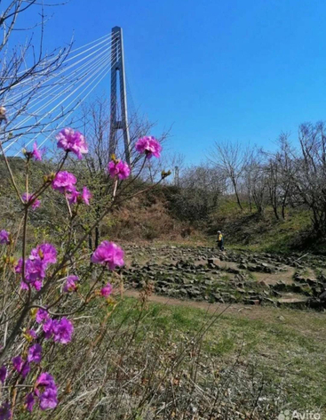 Лабиринт,  исполняющий желания.
