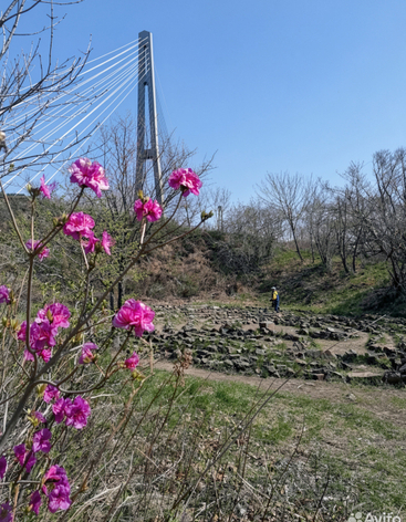Лабиринт желаний