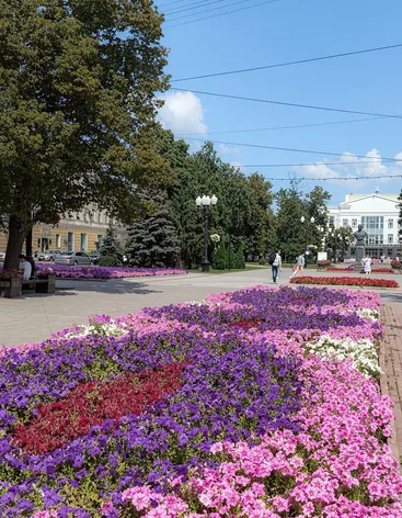 Сквер В.С. Петрова