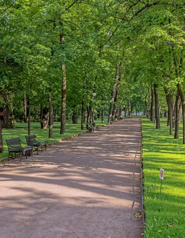 Михайловский сад