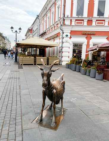 Весёлая коза