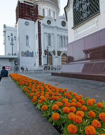 Храм Христа Спасителя