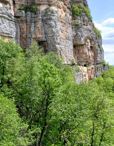 Орлиная полка
