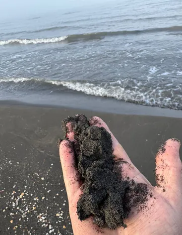 Национальный парк Самурский