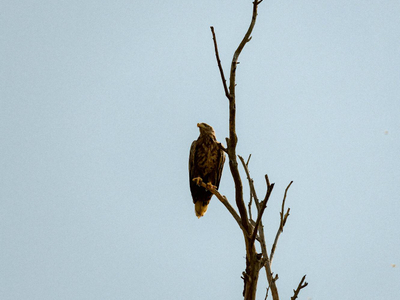 Астраханская область