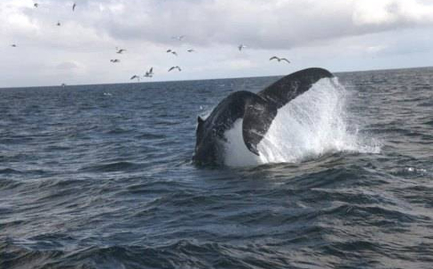 Териберка — край Земли!