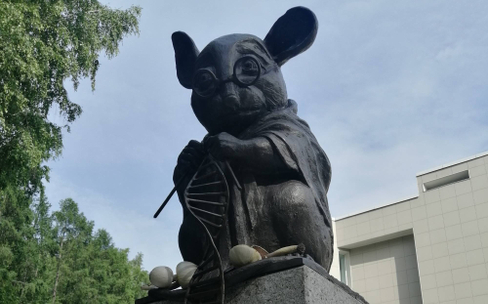 Новосибирский Академгородок: прогулка по городу-лесу