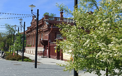 Деревянная сказка первой пешеходной