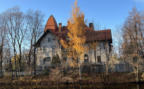 Каменный остров: от Петра до элитного жилья