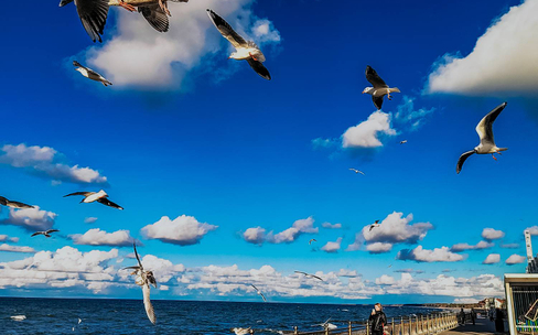 Зеленоградск: «код города». Экскурсия для детей и родителей