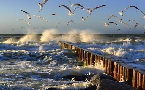 Брызги Балтики: Зеленоградск и Куршская коса