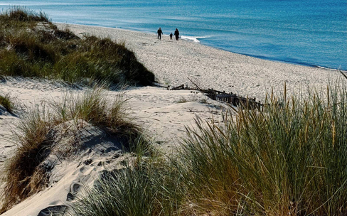 Балтийск и Янтарный