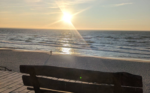 Куршская коса — царство леса и песка