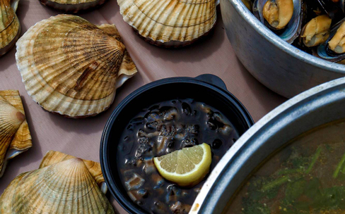 Гастротур на островах и морские тюлени Ларга