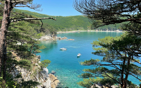 Полуостров Гамова