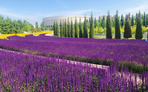 Парк «Краснодар»: парк Галицкого. Самое интересное