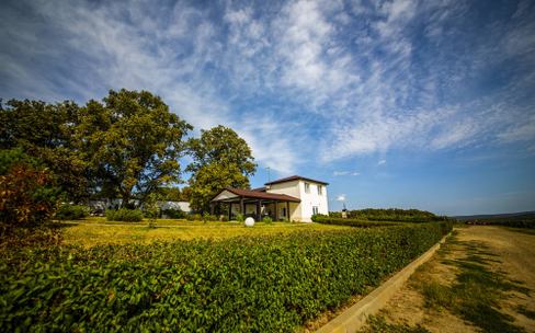 Винный тур из Краснодара на винодельню «Собер Баш»