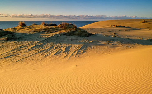 Зеленоградск и Куршская коса