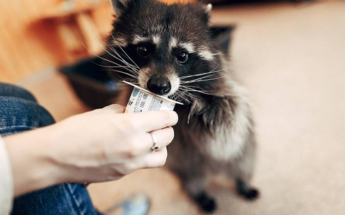 «Салют, Победа!» в Оренбурге